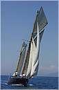 asw08_GIO0751.jpg