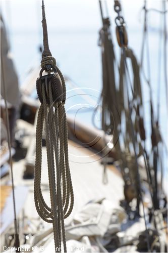 asw08_G815198.jpg