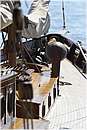 asw08_G815215.jpg