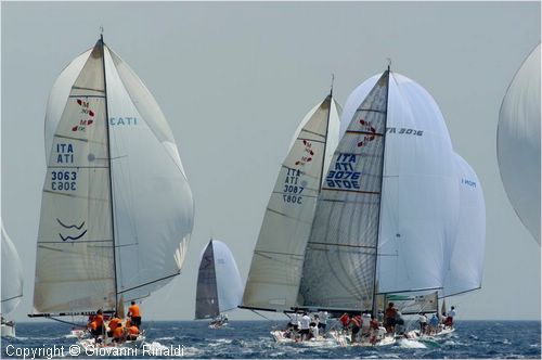 DSC_0204.jpg