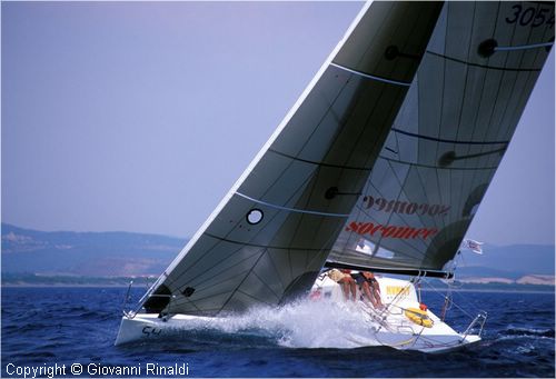 mumm300066.jpg