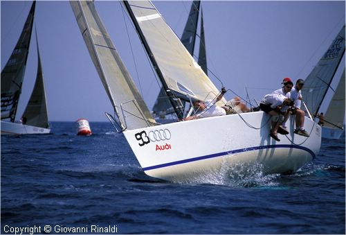 mumm300067.jpg