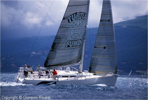 pasquavela03_ita329_11.jpg