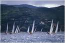 pasquavela03_j24_0003.jpg