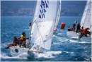 pasquavela03_j24_ita411_01.jpg