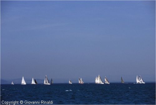 pasquavela03_varie0012.jpg