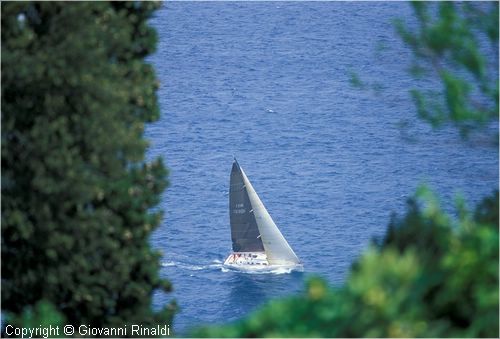 pasquavela03_varie0028.jpg