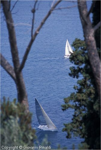 pasquavela03_varie0029.jpg