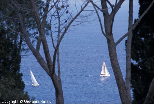 pasquavela03_varie0030.jpg