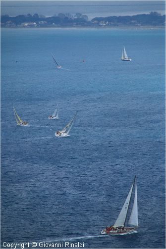 pasquavela03_varie0032.jpg