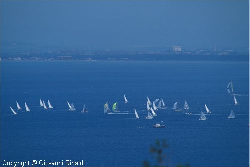 pasquavela03_varie0033.jpg