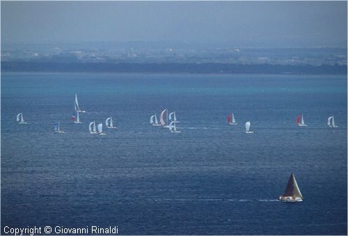 pasquavela03_varie0035.jpg