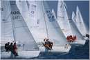 pasquavela03_varie0004.jpg