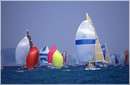 pasquavela03_varie0007.jpg