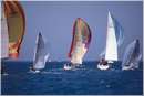 pasquavela03_varie0009.jpg