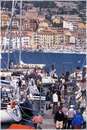 pasquavela03_varie0023.jpg