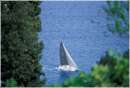 pasquavela03_varie0028.jpg
