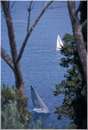 pasquavela03_varie0029.jpg