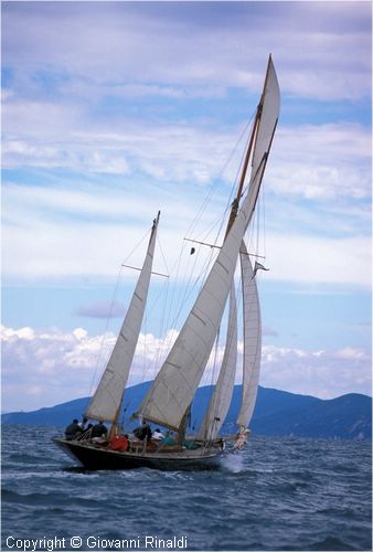 sailweek99_0021.jpg