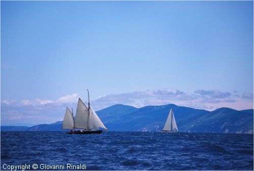 sailweek99_0025.jpg