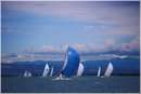 sailweek99_0005.jpg