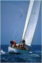 sailweek99_0015.jpg