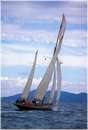 sailweek99_0021.jpg