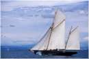 sailweek99_0023.jpg