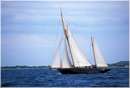 sailweek99_0024.jpg