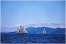 sailweek99_0025.jpg