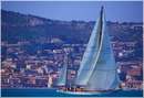 sailweek99_0028.jpg
