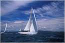 sailweek99_0031.jpg