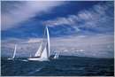 sailweek99_0032.jpg