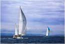 sailweek99_0033.jpg