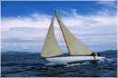sailweek99_0034.jpg