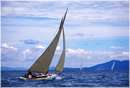 sailweek99_0035.jpg