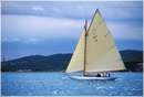 sailweek99_0038.jpg