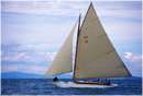 sailweek99_0041.jpg