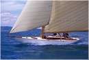 sailweek99_0042.jpg