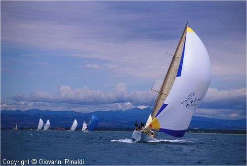 sailweek99_0074.jpg