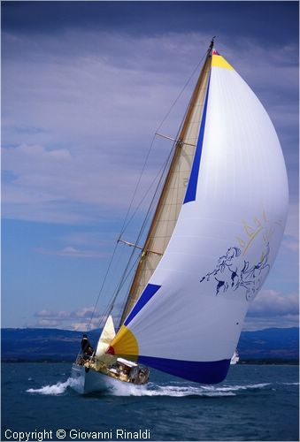 sailweek99_0075.jpg