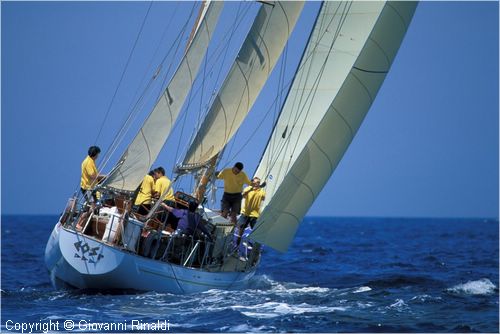 sailweek99_0078.jpg