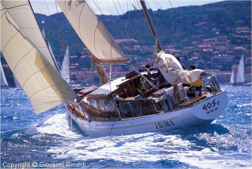 sailweek99_0079.jpg