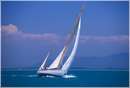 sailweek99_0043.jpg