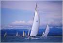 sailweek99_0044.jpg