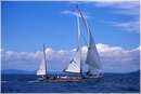 sailweek99_0050.jpg