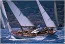 sailweek99_0054.jpg