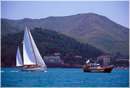sailweek99_0057.jpg