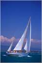 sailweek99_0058.jpg