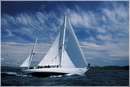 sailweek99_0063.jpg